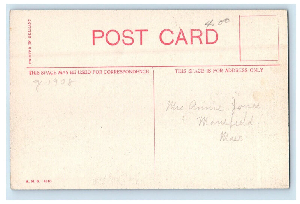 c1910's Lakeview Park Foxboro Massachusetts MA Unposted Antique Postcard