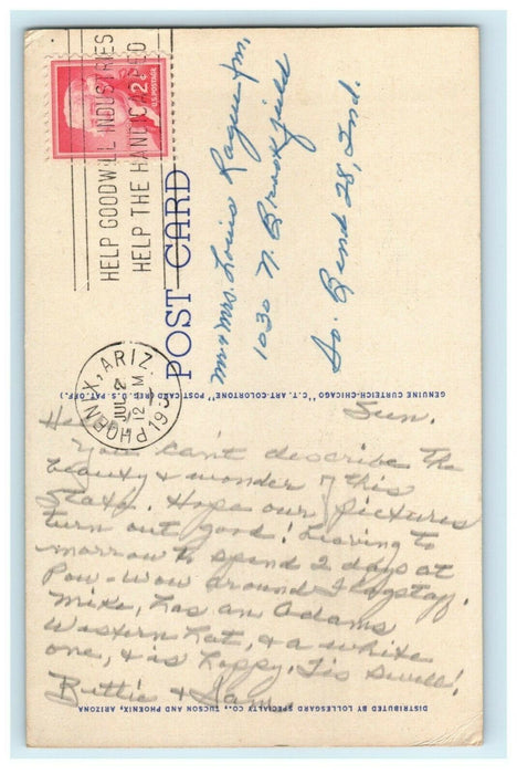 c1940's Barrel Cactus Desert Phoenix Arizona AZ Posted Vintage Postcard
