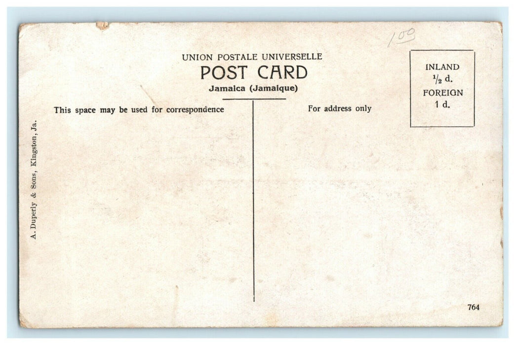 c1910 Greetings From Jamaica Banana Tree Unposted Antique Postcard