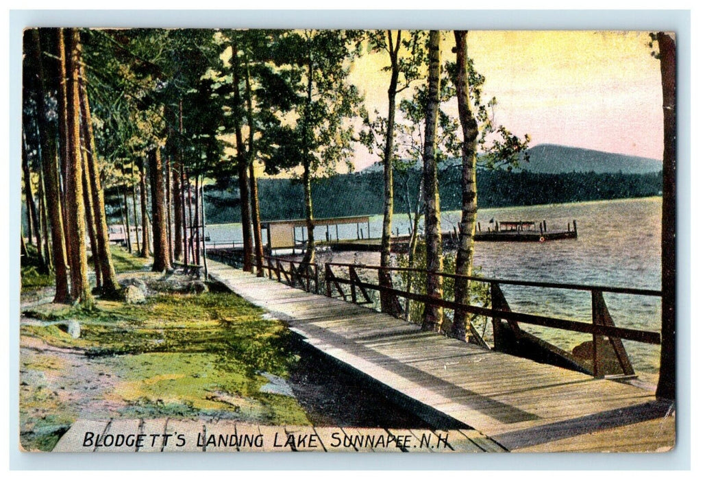 1907 Blodgett's Landing Lake Sunapee New Hampshire NH Antique Postcard
