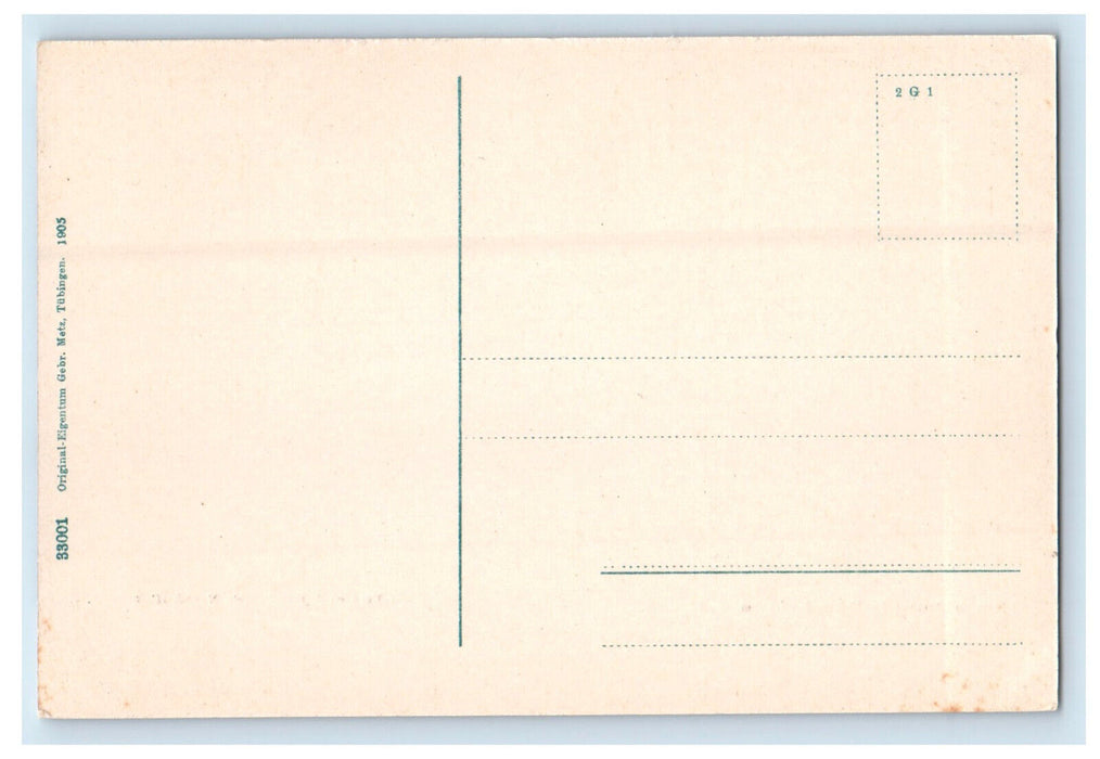 c1910 Aerial View, Hardenburg (Bad Dürkheim) Germany Unposted Postcard