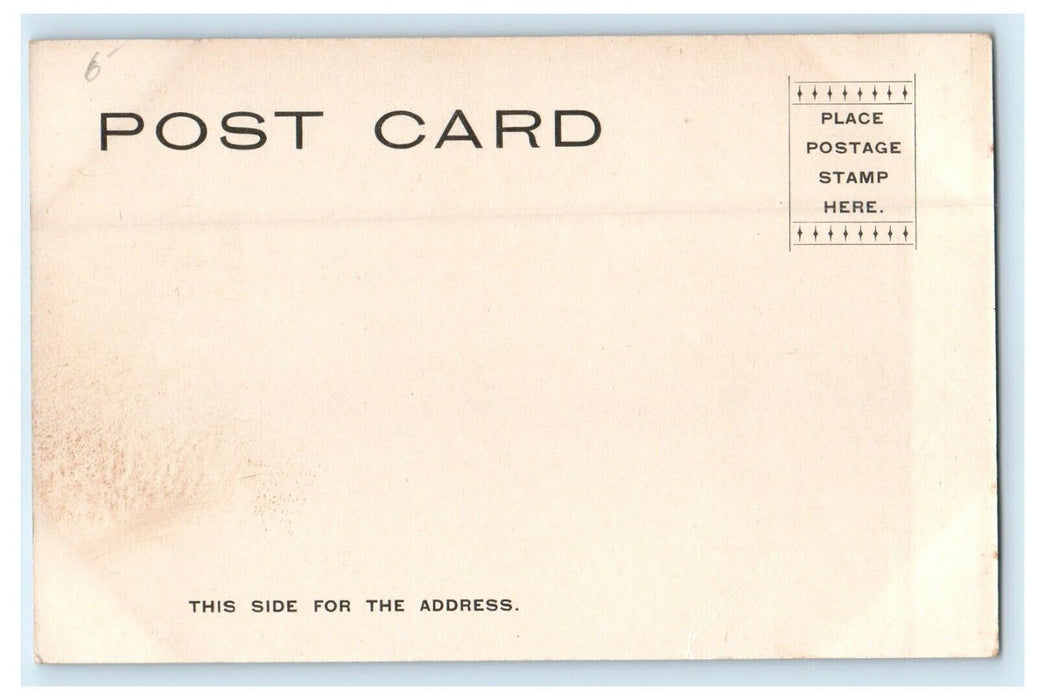 1904 Back Cove, Pequot Lake, Westfield Massachusetts MA Antique Postcard