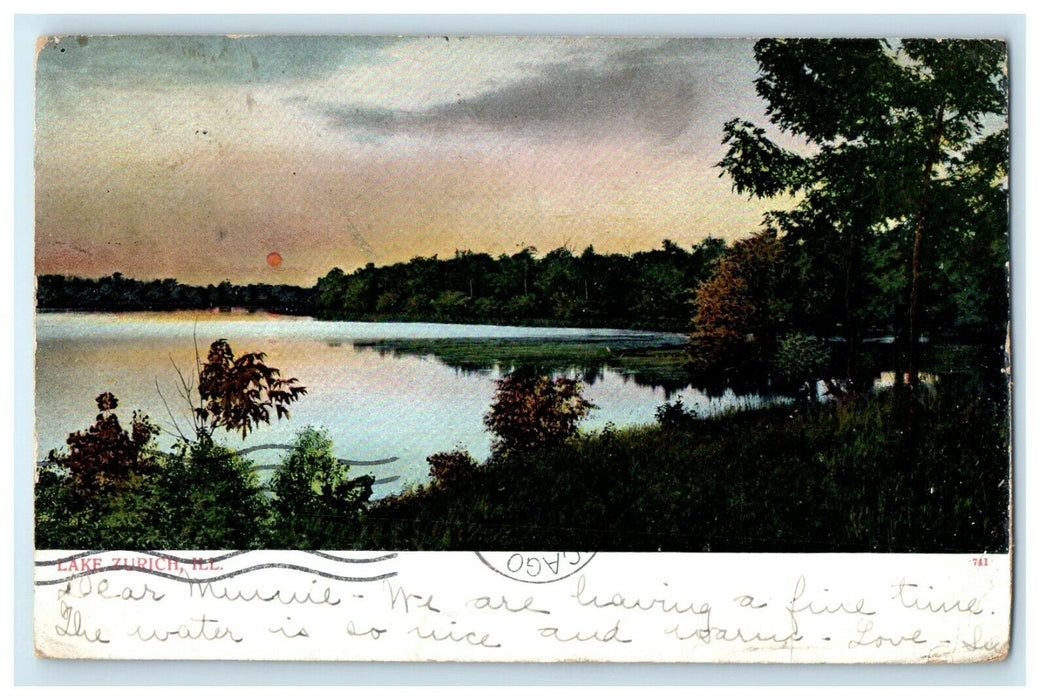 1906 The View Of Lake Zurich Illinois IL Undivided Back Antique Postcard