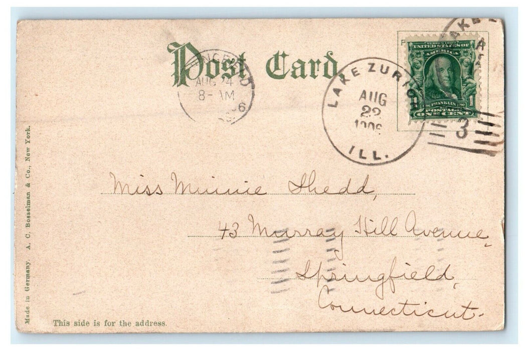 1906 The View Of Lake Zurich Illinois IL Undivided Back Antique Postcard