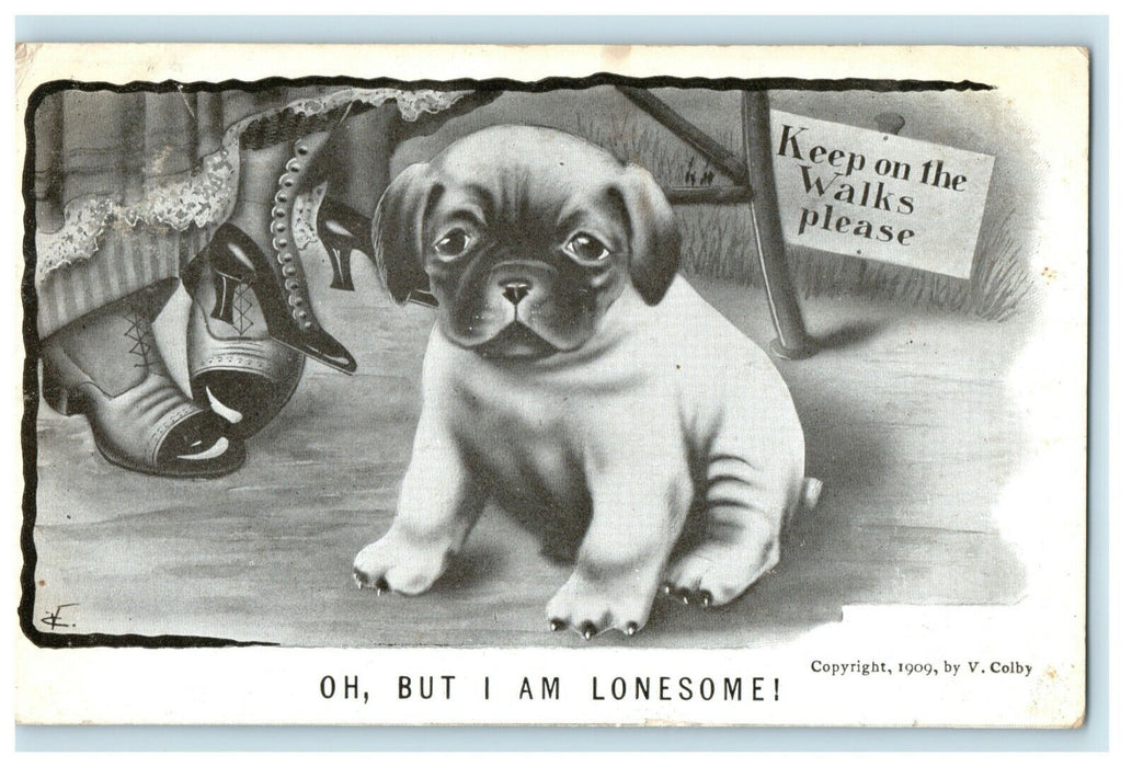 1909 Lonely Puppy Dog Under Table Women's Shoes Comic Humor Funny Postcard