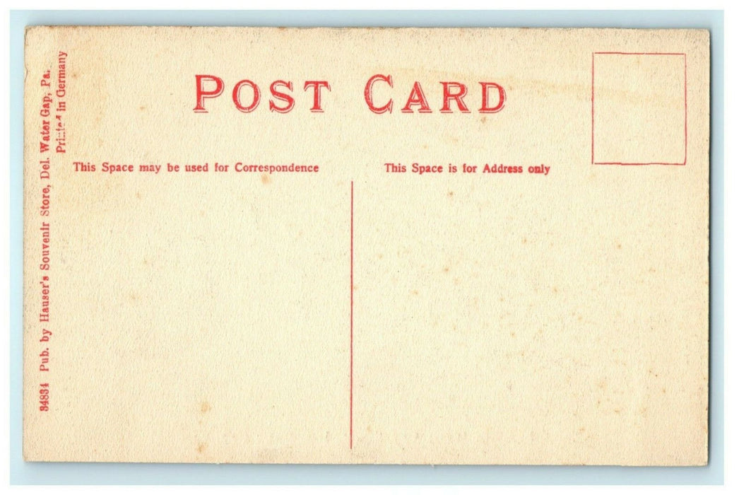 Lawn of Water Gap House Delaware Pennsylvania Hauser's Souvenir Vintage Postcard