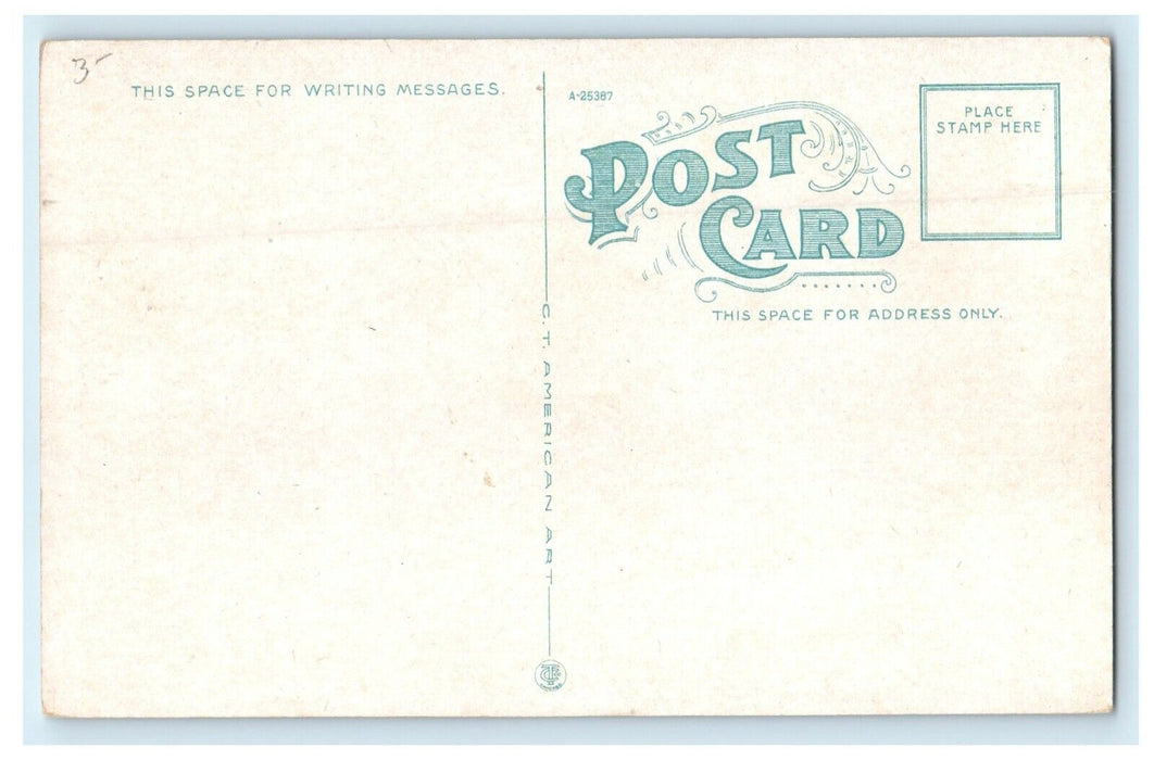 1916 High School View Westfield Massachusetts MA Antique Unposted Postcard
