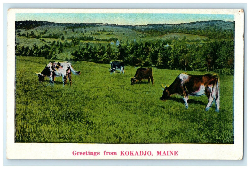 1932 Greetings From Kokadjo Maine ME Dairy Cattle Cows Vintage Postcard