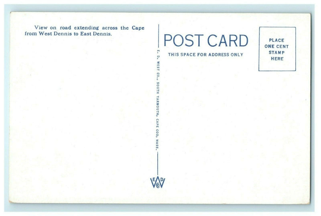 Cape Cod Pines West Dennis Road Massachusetts Vintage Postcard