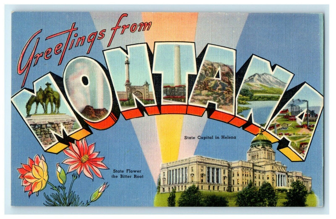 c1930's Greetings From Montana MT State Flower And Capitol Vintage Postcard