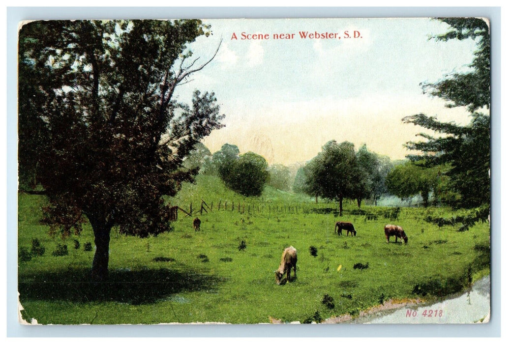 1909 A Scene Near Webster South Dakota SD, Animal Farm Antique Postcard