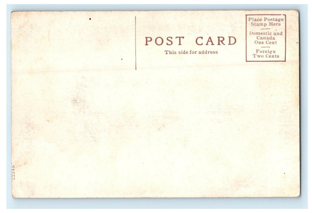 c1910 View Of Sam Houston State Normal Hantsville Texas TX Antique Postcard