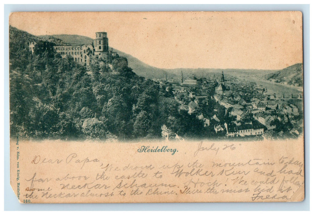 c1900 Aerial View of Mountains Heidelberg Germany Posted Antique Postcard