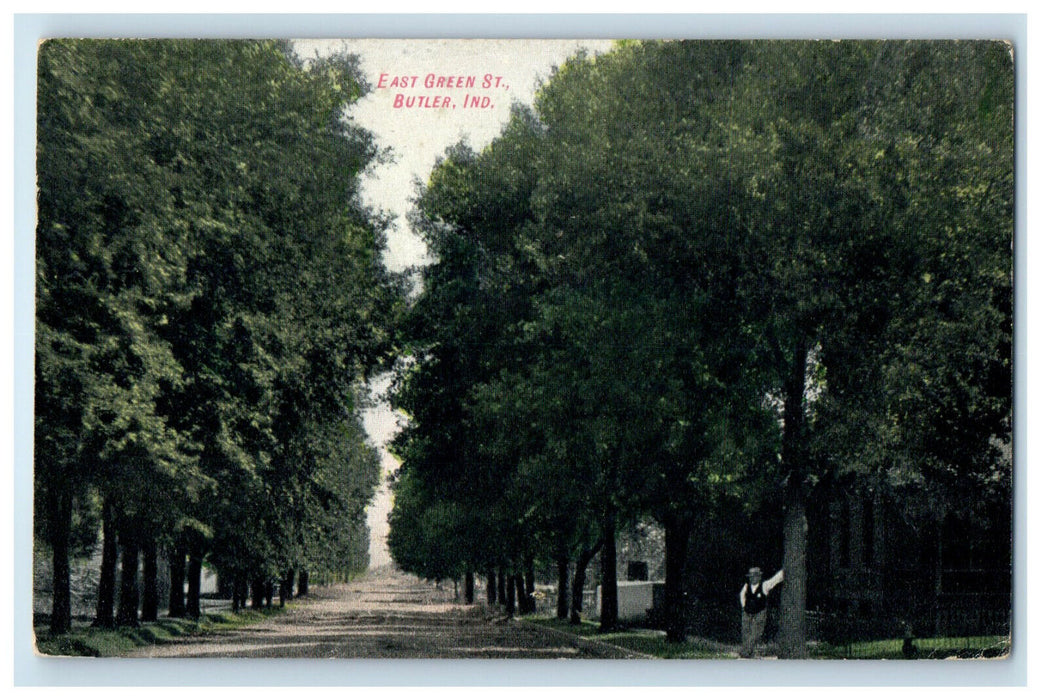 c1910 Trees Growing in East Green St. Butler Indiana IN Unposted Postcard
