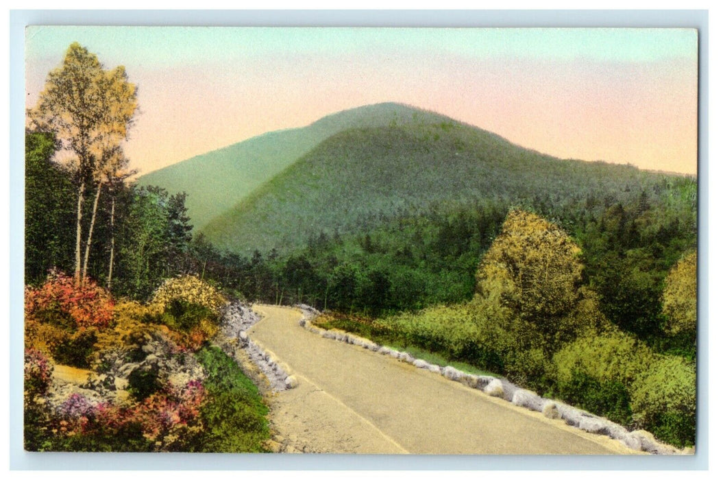 1911 Acadia National Park, Bar Harbor Maine Handcolored Antique Postcard