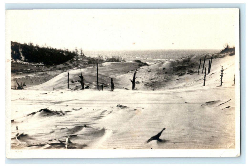 Cape Cod Sand Dunes Massachusetts RPPC Dead Trees Ocean Antique Vintage Postcard