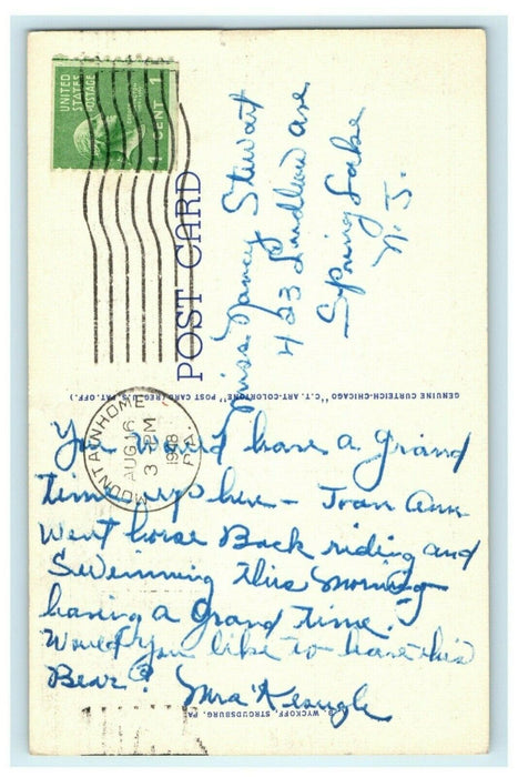 I Can't Bear to Leave the Poconos Delaware Water Gap Pennsylvania 1948 Postcard