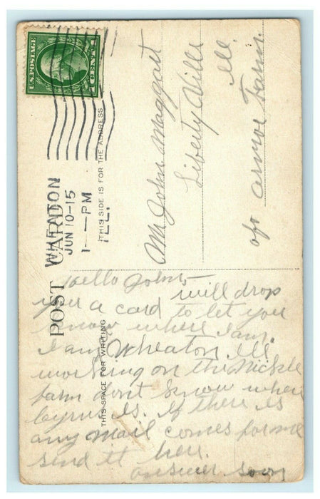 Bridge Wooded Island Jackson Park Chicago1915 Wheaton Illinois Postcard