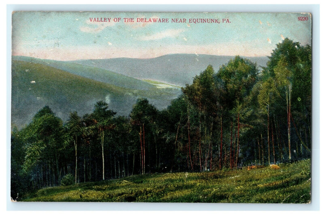 Valley of the Delaware Near Equinunk Pennsylvania 1908 Find Cow Story Postcard