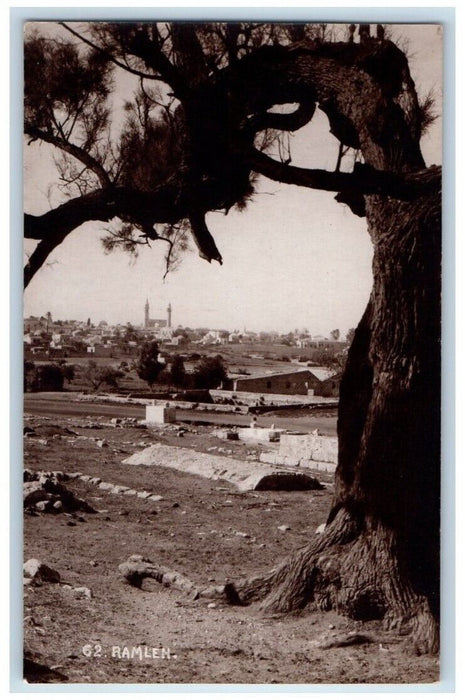 c1930's Ramleh City Tree Desert View Israel RPPC Photo Unposted Postcard
