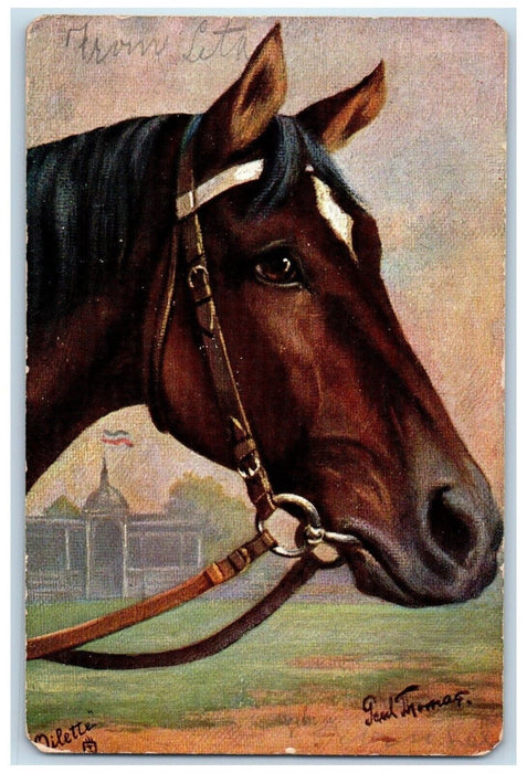 1907 German Race Horse Head Oilette Tuck's New London Ohio OH Antique Postcard