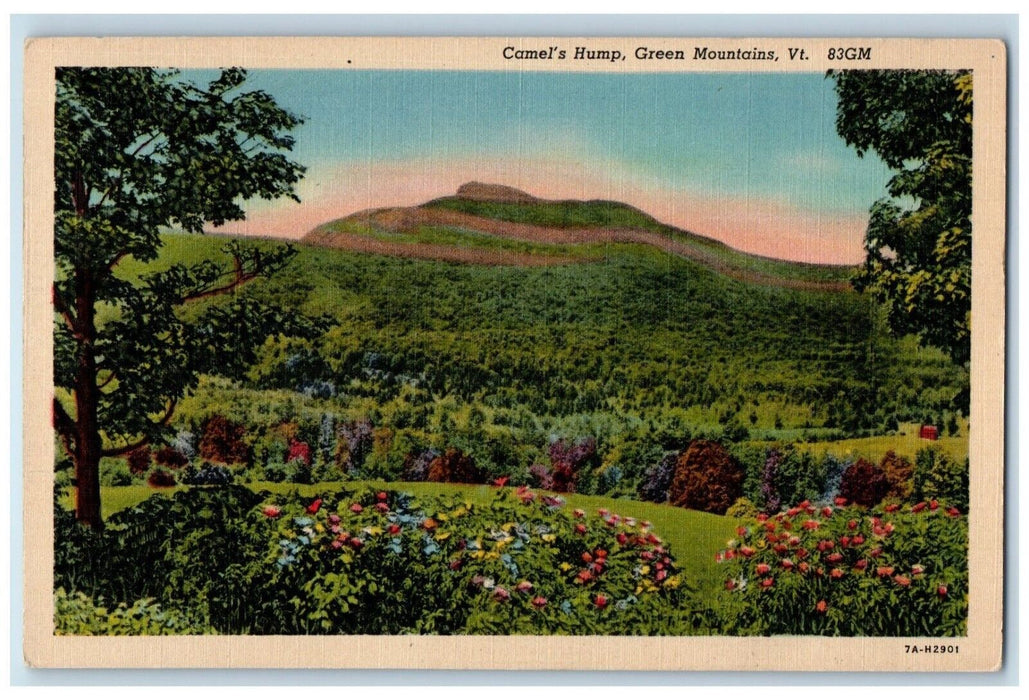 1954 Camel's Hump Green Mountains Burlington Vermont VT Posted Vintage Postcard