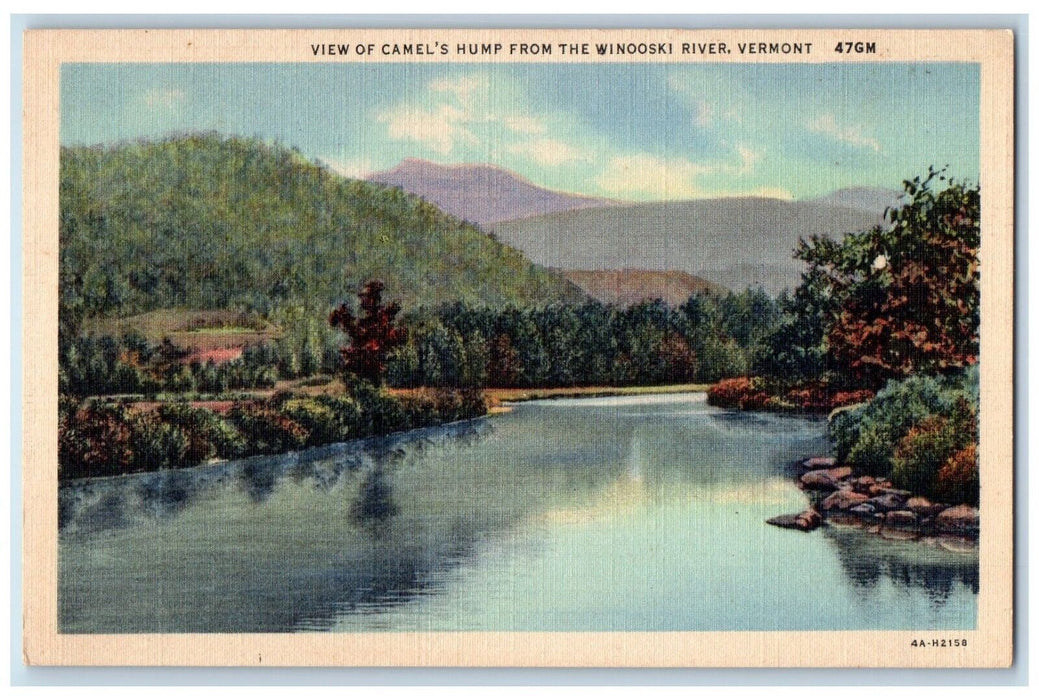 c1930's View Of Camel's Hump From The Winooski River Vermont VT Antique Postcard