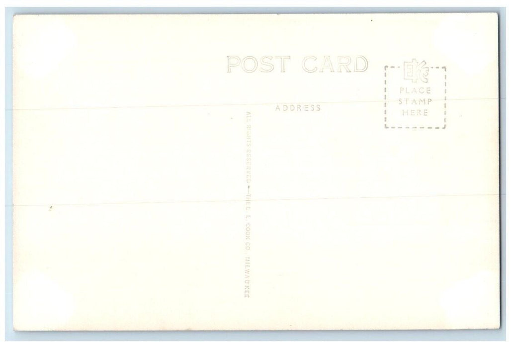 c1940's Island Park River Slide View Rock Rapids Iowa IA RPPC Photo Postcard