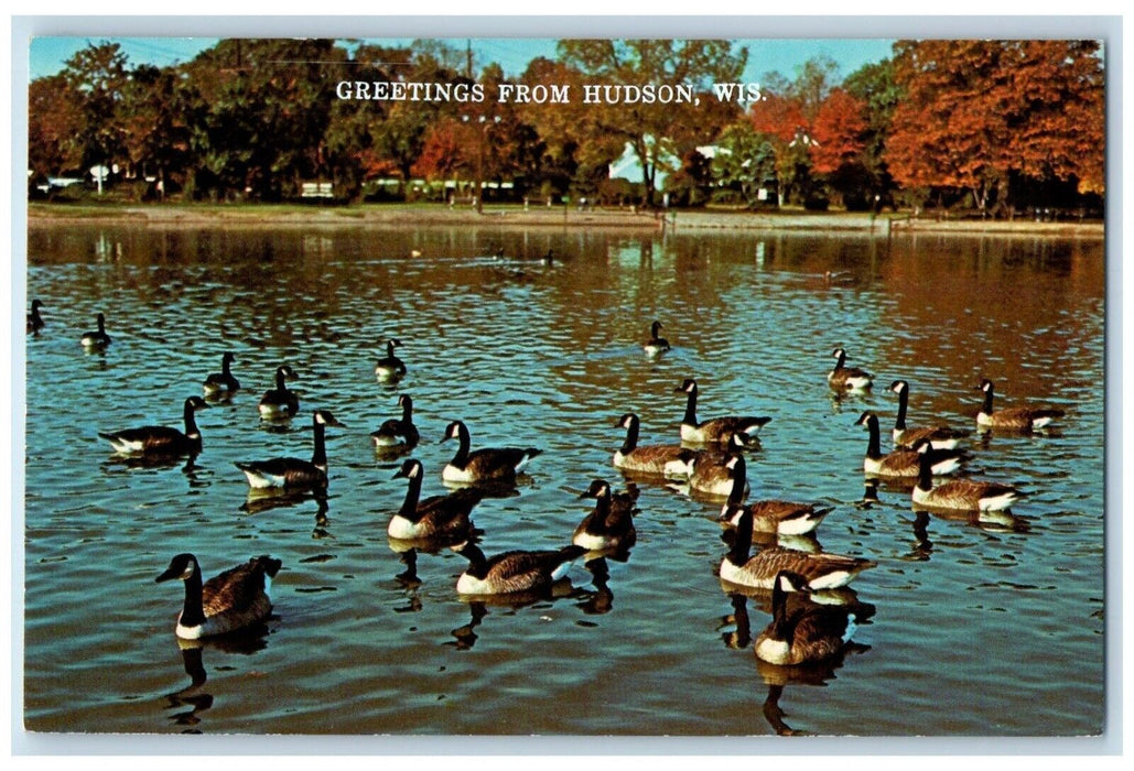 c1960 Greetings From Hudson Wisconsin River Ducks Lake Animals Vintage Postcard