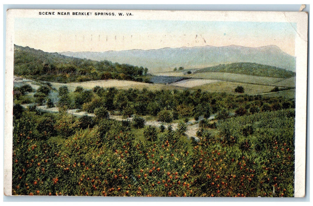 c1920's Scene Near Berkley Springs West Virginia WV Antique Postal Card