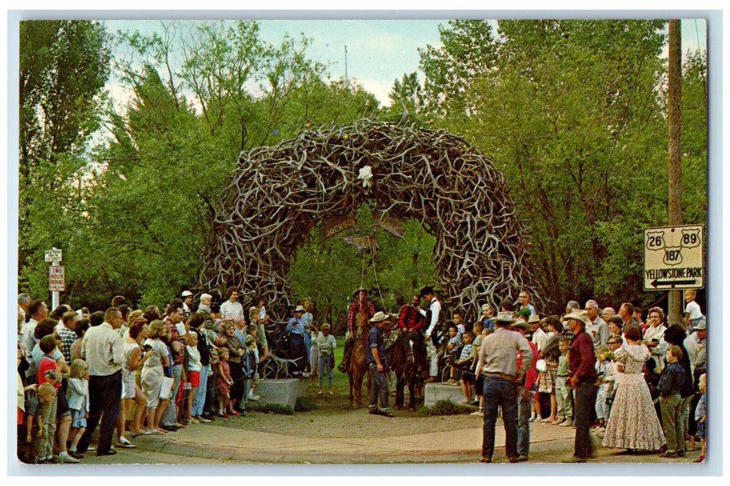 c1960's Hanging of Clover The Killer Elk Horn Arch Jackson Wyoming WY Postcard