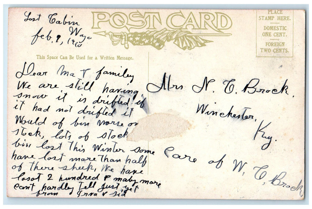 1910 State Capitol State Flower Cheyenne Wyoming WY Antique Posted Postcard