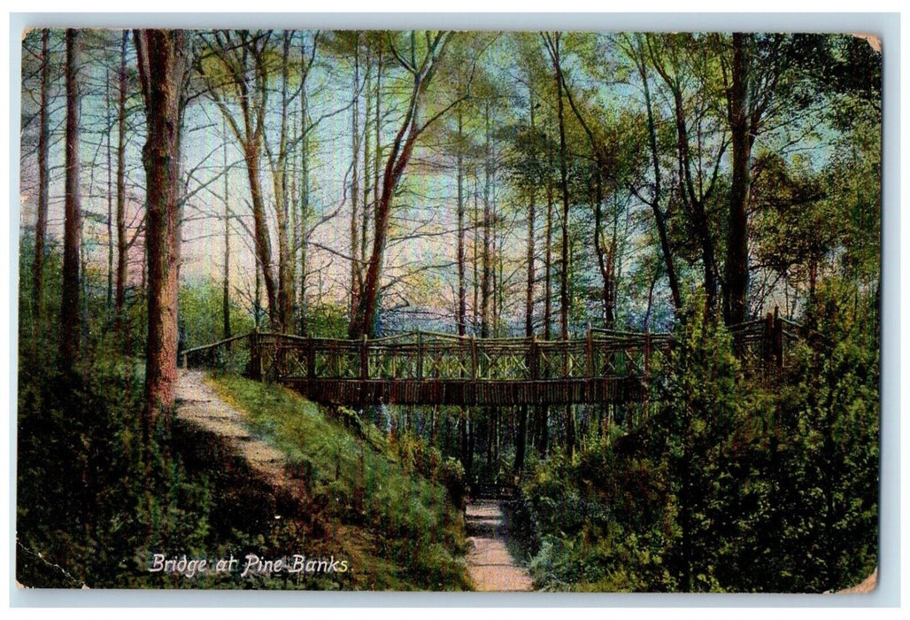 1908 Bridge Pine Banks Road Trees Malden Massachusetts Vintage Antique Postcard