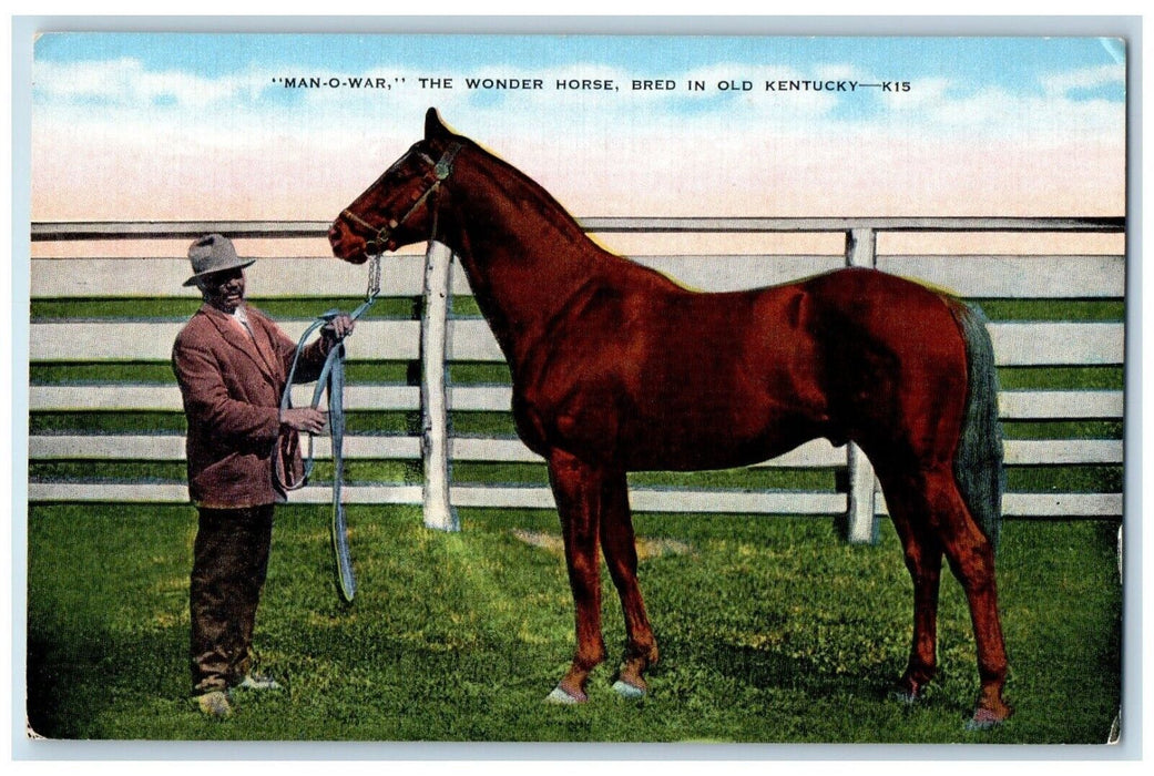 c1940 Man-O-War Wonder Horse Bred Racer Derby Old Kentucky KY Vintage Postcard