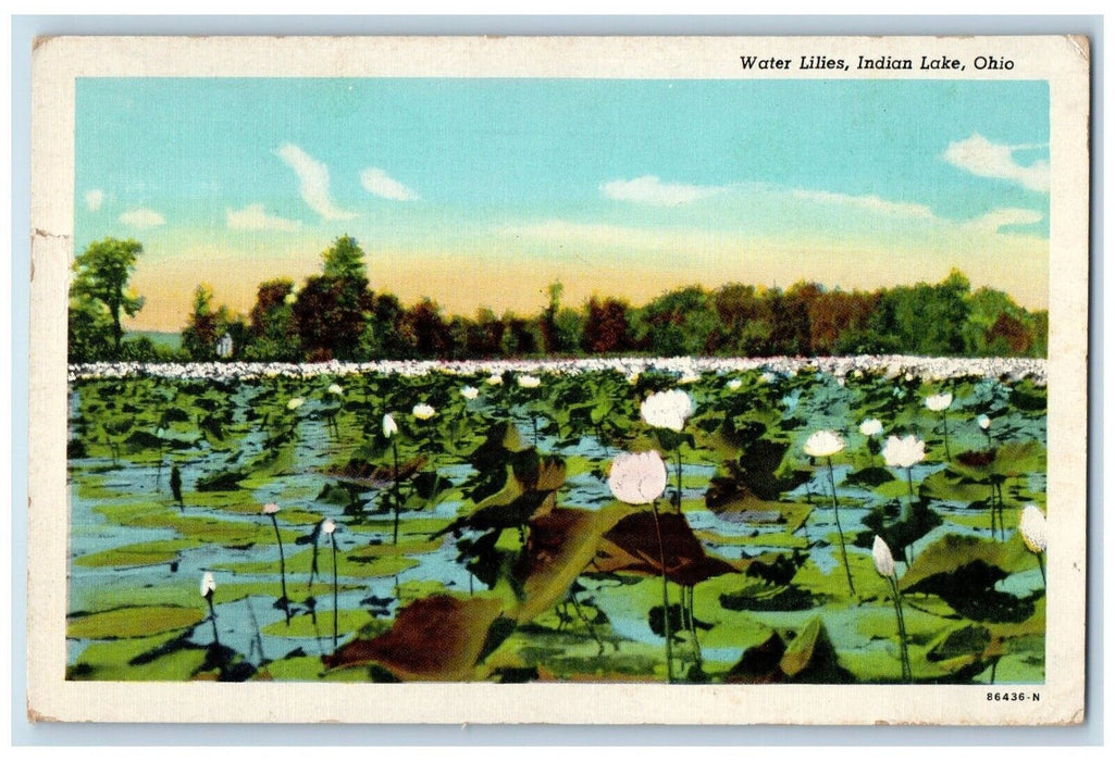 1947 Scenic View Water Lilies Indian Lake Ohio Vintage Antique Posted Postcard