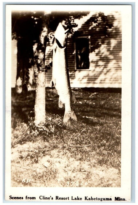 c1930's Fish Scene Cline's Resort Lake Kabetogama MN RPPC Photo Postcard
