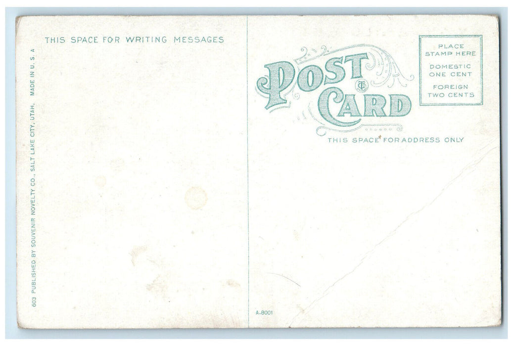 c1910 St. Mark's Hospital Salt Lake City Utah UT Antique Unposted Postcard