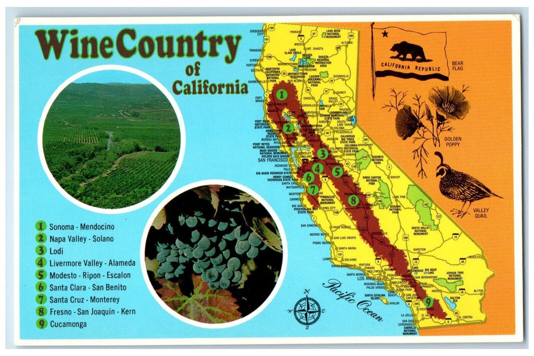 c1950's Country Republic Bear Flag Map View Wine Country of CA Postcard