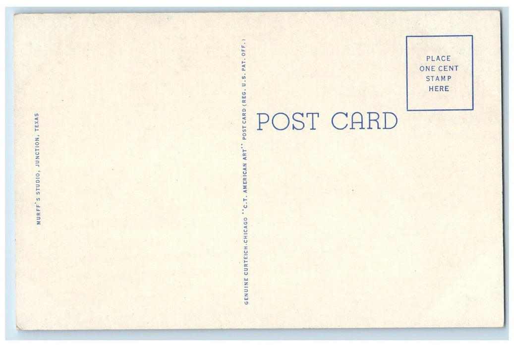 c1930's View Of Tea Cup Mountain Junction Texas TX Unposted Vintage Postcard