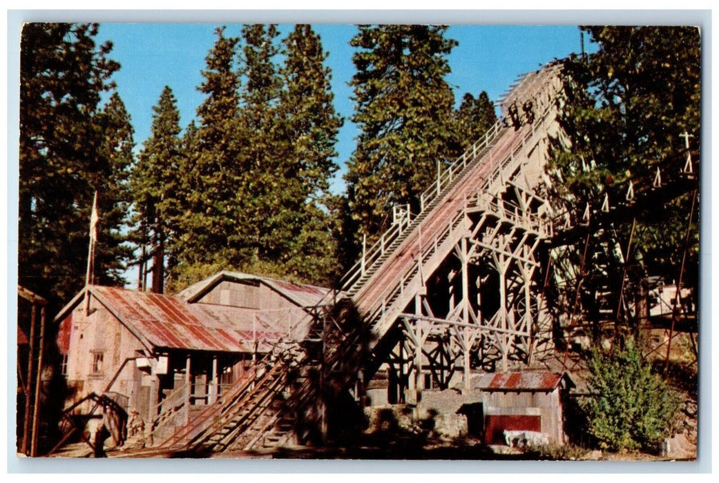 c1950's Nevada County California Mine Head Near Grass Valley Vintage Postcard