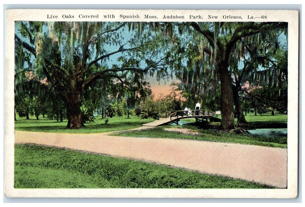 c1920 Live Oaks Covered Spanish Moss Audubon Park New Orleans Louisiana Postcard