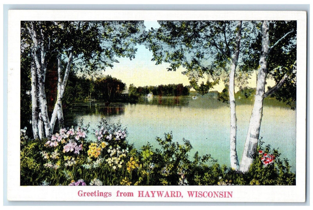 c1940 Greetings From Flower River Lake Trees Hayward Wisconsin Vintage Postcard