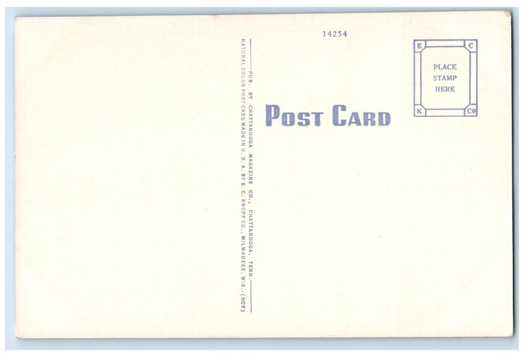 c1960's Bachman Tubes Entering Chattanooga Tennessee TN Vintage Postcard