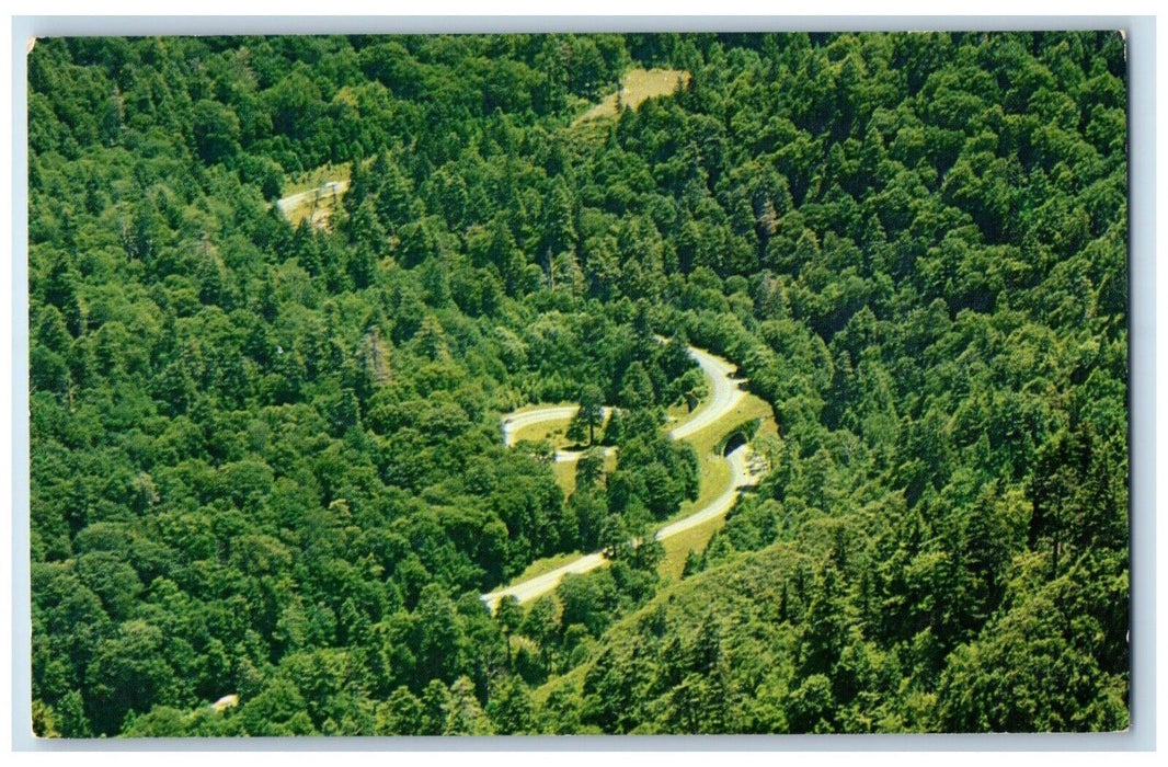 1960 Loop Transmountain Highway Smoky Mountains National North Carolina Postcard