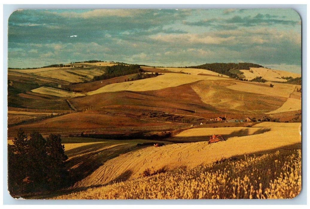 1967 Wheat Farms of Whitman County Washington WA Vintage Posted Postcard