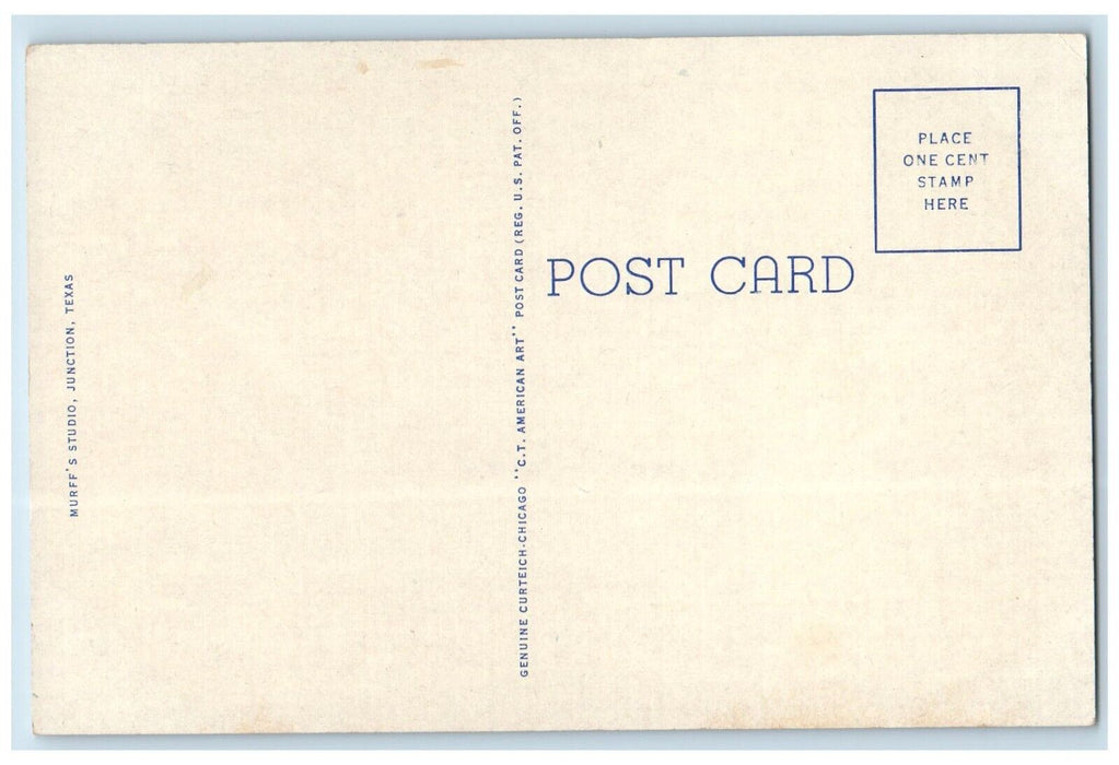 1940 Scenic View Lovers Leap Overlooking Road Junction Texas TX Vintage Postcard