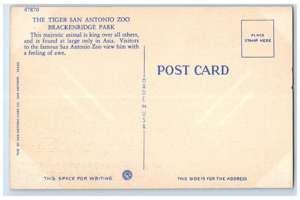 c1940 Tiger San Antonio Zoo Brackenridge Park San Antonio Texas Antique Postcard