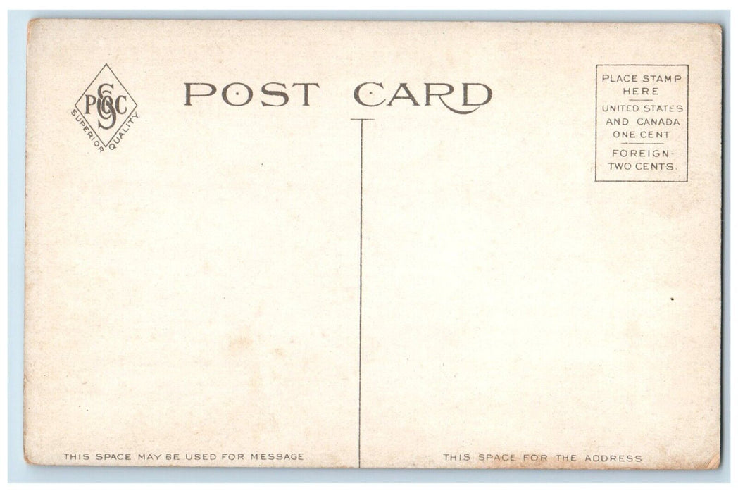 c1910 Pagoda Duncan Park Exterior Building Field Jacksonville Illinois Postcard