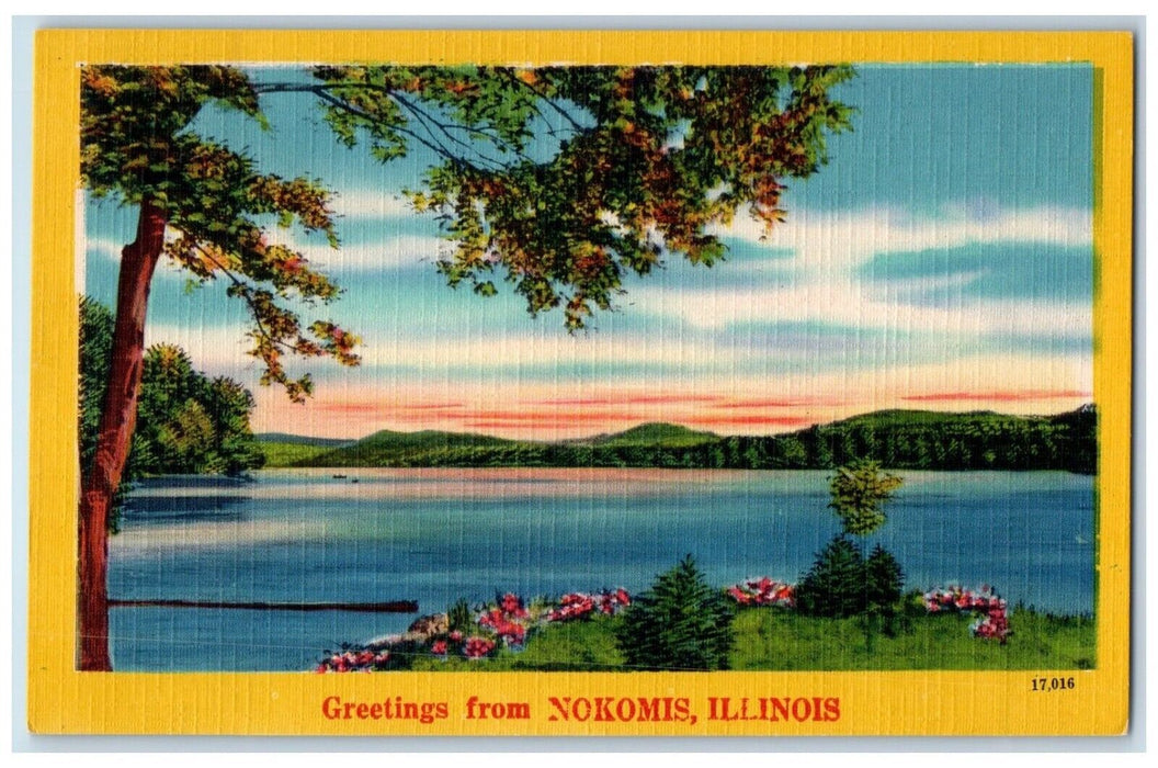 c1930's River Flowers Trees Greetings from Nokomis Illinois IL Postcard