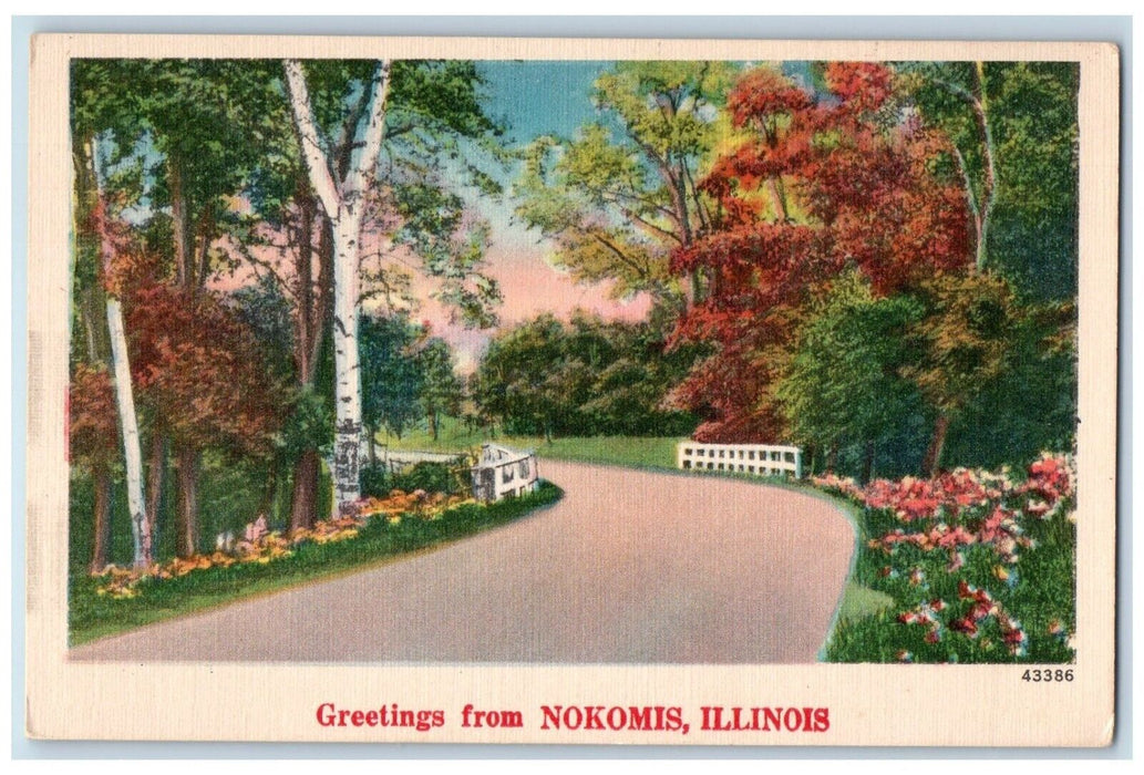 c1930's Road Trees Scene Greetings from Nokomis Illinois IL Vintage Postcard